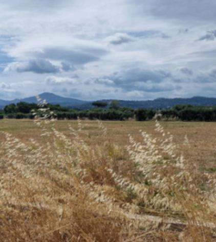 Immobile in asta di 32600 m² in vendita a Ciampino - Foto 6