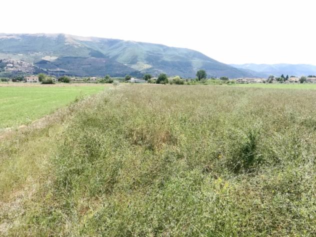 Terreno in vendita in strada montefalco, 25, Montefalco - Foto 4