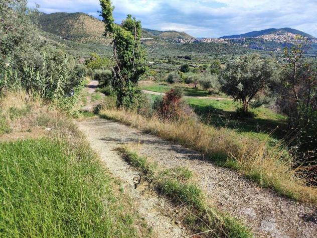 Uliveto in vendita a Guidonia Montecelio - Foto 2