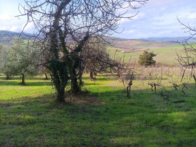 Rustico in vendita a Orciatico - Lajatico 225 mq Rif: 1419652 - Foto 9