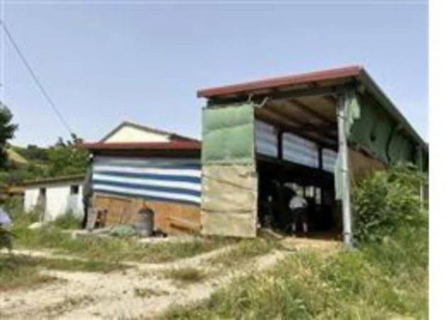 Immobile in asta di 50507 m² in vendita a Tavoleto - Foto 3