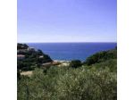 Il Capriolo