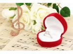 Musica cerimonia di matrimonio ed eventi a Torino