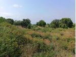 Agricolo in vendita a Belpasso
