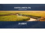 Immobile in asta di 51318 m² in vendita a Castellaneta