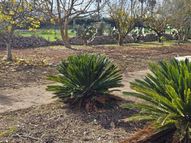 Terreno Edificabile in vendita a Ragusa, Gesuiti Pianetti - Foto 9