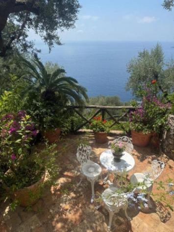 Immobile in asta di 71350 m² con più di 5 locali in vendita a Vico Equense - Foto 4