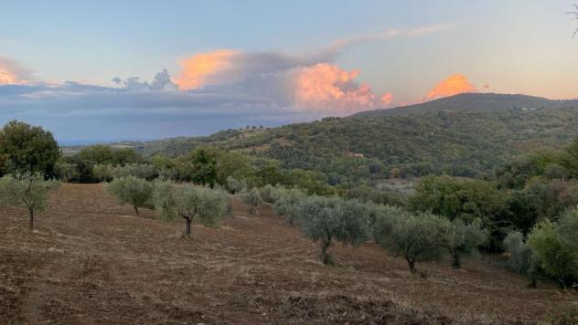 Terreno agricolo in vendita a Montorgiali - Scansano 103300 mq Rif: 1392018 - Foto 4