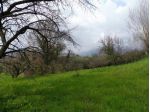 Terreno Agricolo - Fara Vicentino . Rif.: Cod. rif 3314789VRG