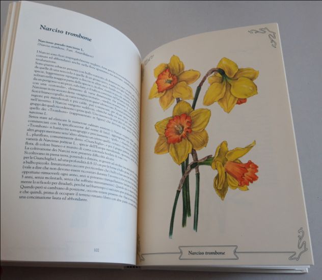 Ditelo con i fiori - Foto 8