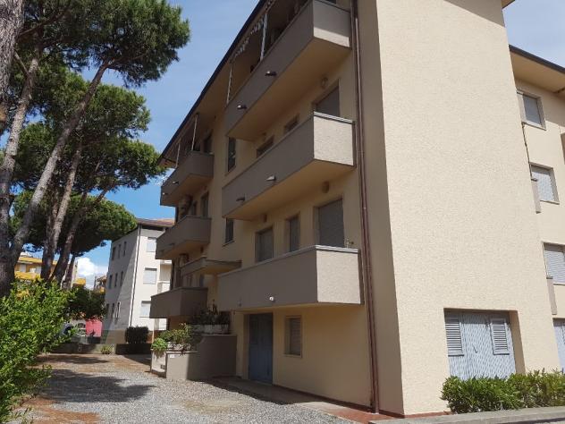 Appartamento in affitto a Rosignano Marittimo 40 mq Rif: 543630 - Foto 2