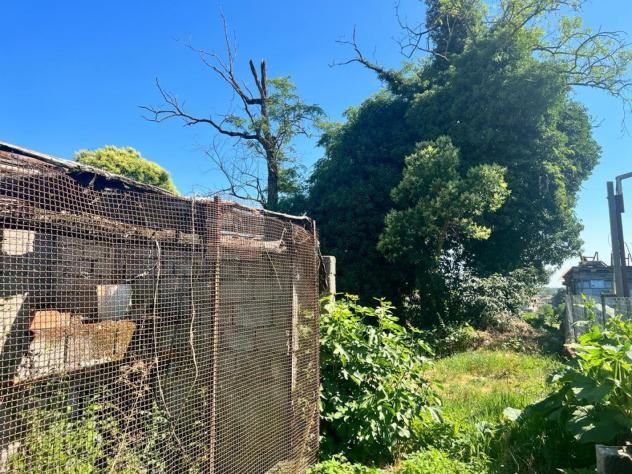 Porzione di Rudere con Terreno - Foto 4