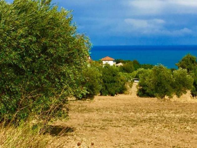 Agricolo in vendita a Cupra Marittima - Foto 4