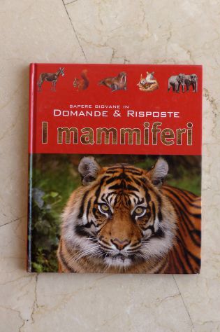 LIBRI PER BAMBINI - Foto 5