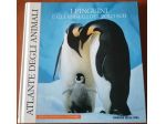 I Pinguini e gli Animali del Polo Sud Vol. 1- RCS 2006