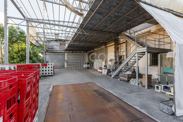 Casa Indipendente Bifamiliare con Cantina Vitivinicola - Foto 4