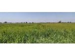 R.G.E. 489/2022 Pavia