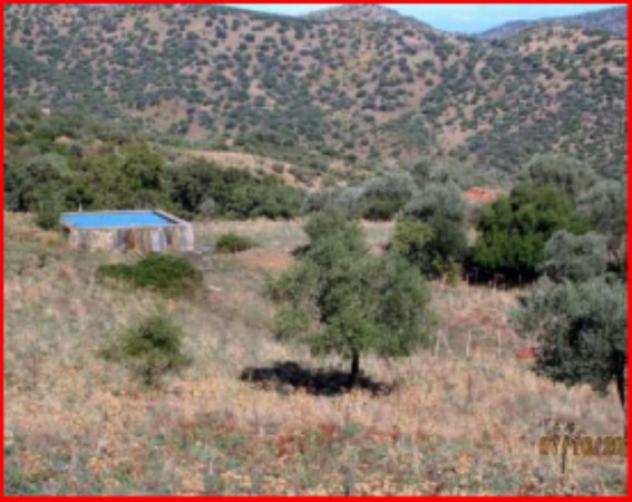 Immobile in asta di 1204078 m² in vendita a Geraci Siculo - Foto 8