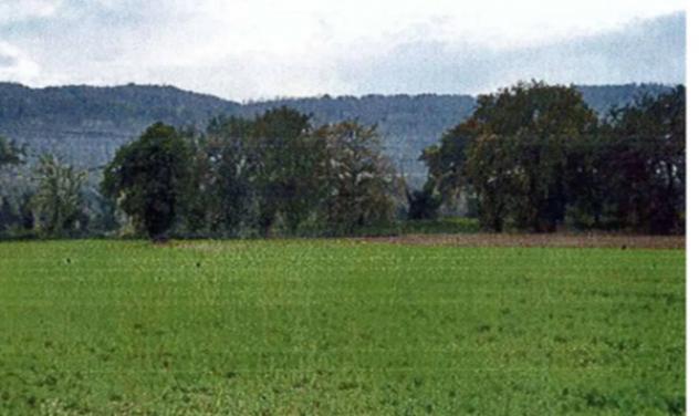 Immobile in asta di 48 m² in vendita a Orte - Foto 2