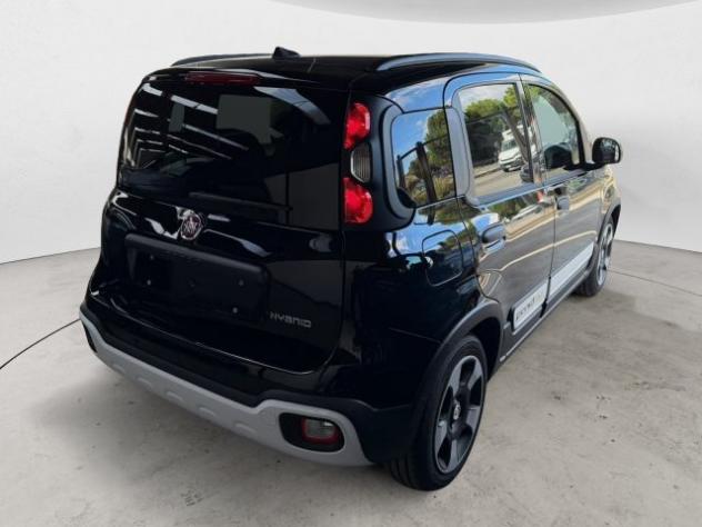 FIAT Pandina Pandina Cross 1.0 firefly hybrid s&s 65cv rif. 24148027 - Foto 5