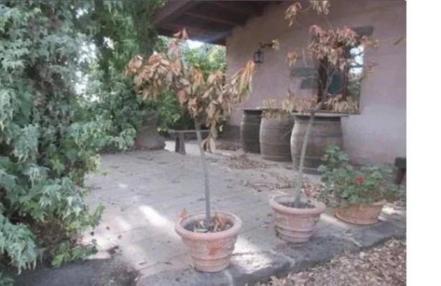 Immobile in asta di 4134 m² in vendita a Abbasanta - Foto 4