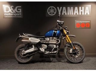 Triumph Scrambler 1200 null