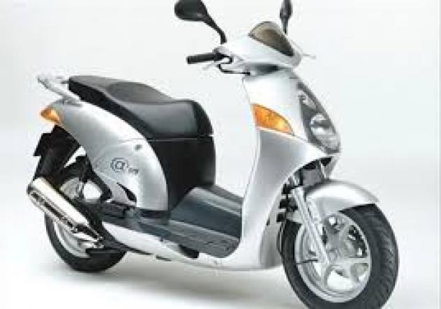 HONDA @ CHIOCCIOLA 150 CORRETTORE DI COPPIA E FRIZIONE 2000 2002 ZDCKF03A - Foto 8