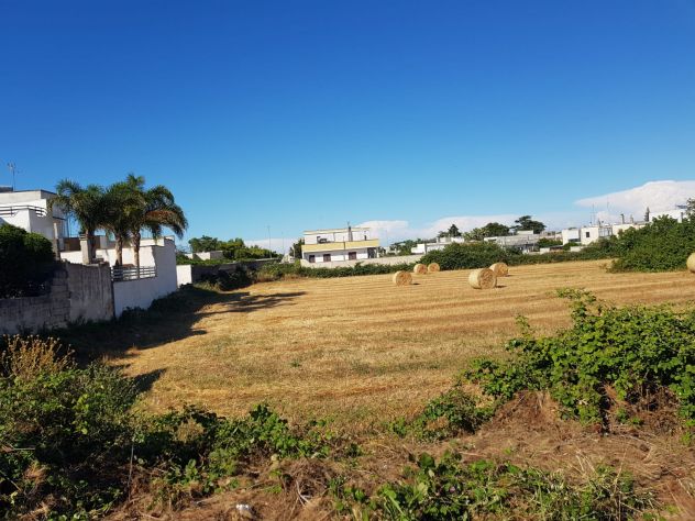 Terreno 14.000mq: EDIFICABILE - Foto 4