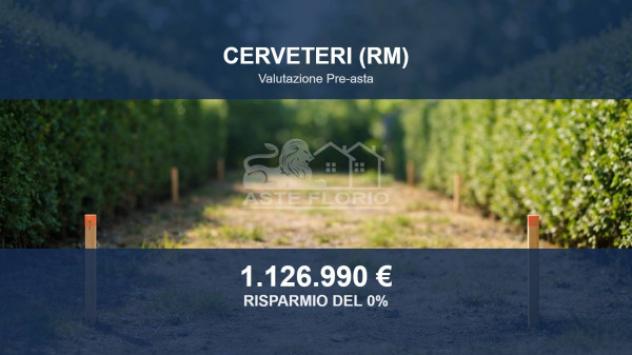 Immobile in asta di 65930 m² in vendita a Cerveteri