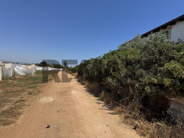 Terreno in vendita a Pachino, Marzamemi - Foto 4