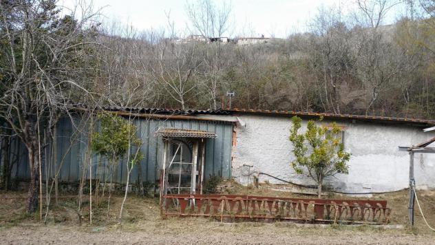 Alassio, terreno di circa 6.000 mq. con progetto per costruire una villa. - Foto 10