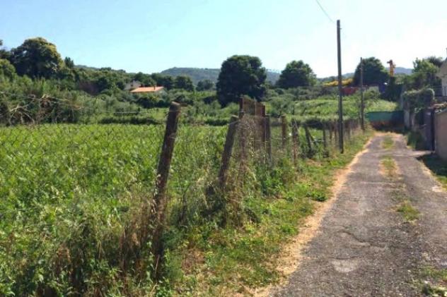 Immobile in asta di 159545 m² in vendita a Fiumicino - Foto 11