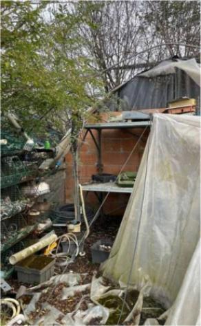 Immobile in asta di 14697 m² in vendita a Povegliano Veronese - Foto 2