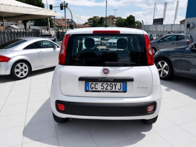FIAT Panda Hybrid 1.0 S&S 69 Cv Neo Patentati rif. 23989898 - Foto 6