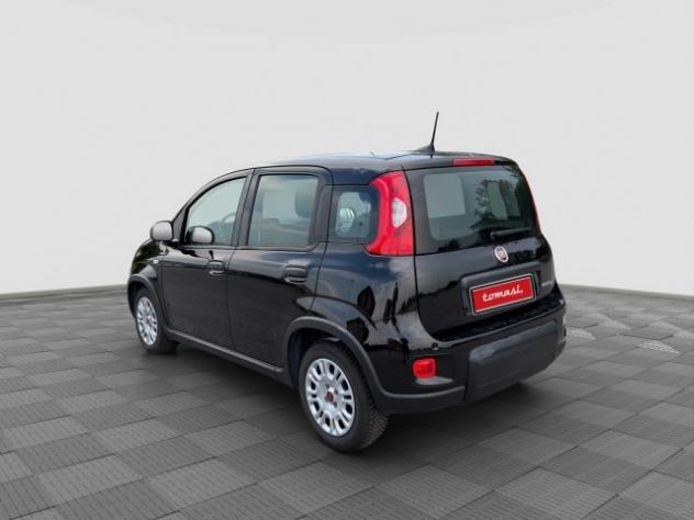 FIAT Panda Panda 1.0 FireFly S&S Hybrid rif. 24078638 - Foto 3