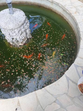 Villa singola in vendita a Scicli, Sampieri - Foto 18