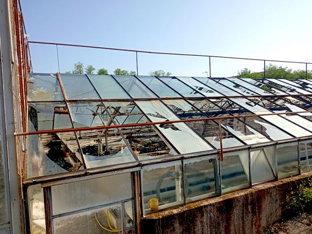 Azienda di floricoltura a Pozzuolo del Friuli - Foto 14