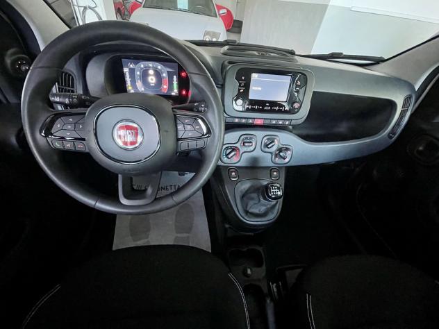FIAT Pandina 1.0 firefly hybrid Icon s&s 65cv - KM0 - Foto 8