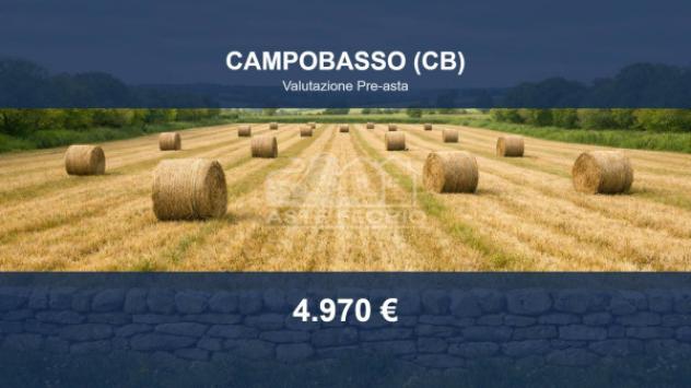 Immobile in asta di 14380 m² in vendita a Campobasso