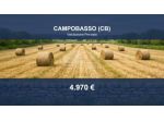 Immobile in asta di 14380 m² in vendita a Campobasso