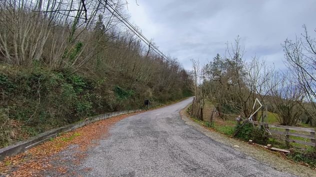 GIFFONI VALLE PIANA Ornito direzione M. Pugliano 3,6 ettari di terreno - Foto 5