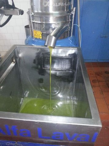 Olio extra vergine di oliva - Foto 5