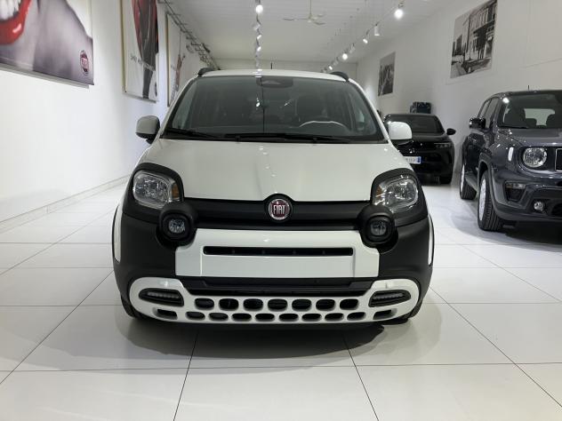 FIAT Panda 1.0 FireFly S&S Hybrid Pandina - Foto 2