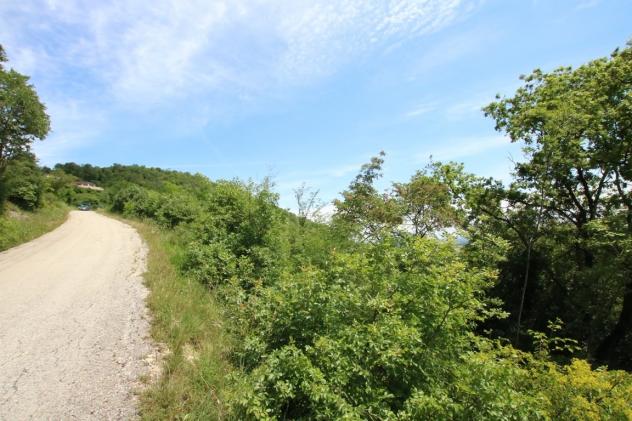 Bosco in vendita a Castegnero - Foto 14