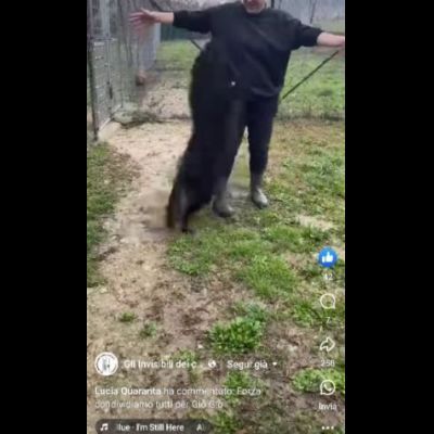 ADOTTA L' ALLEGRIA CAGNOLINO IN ADOZIONE - Foto 2
