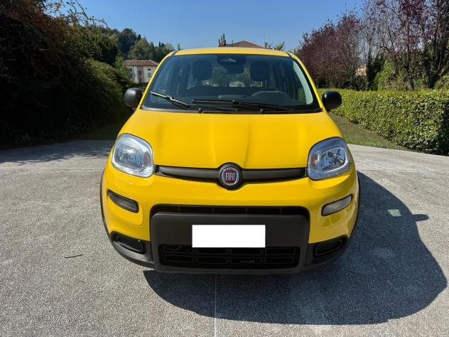 Fiat Panda 1.0 FireFly S&S Hybrid Pandina- 1.516 KM 2024 - Foto 5
