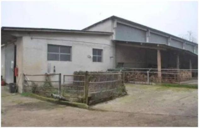 Immobile in asta di 80000 m² in vendita a Castelvisconti - Foto 14