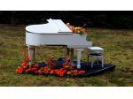 Musica matrimonio Crema