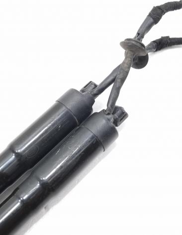 COPPIA PISTONCINI ELETTRICI COFANO POSTERIORE LAND ROVER Range Rover SPORT LR044161 306DT Diesel 3000 (1322) - Foto 9
