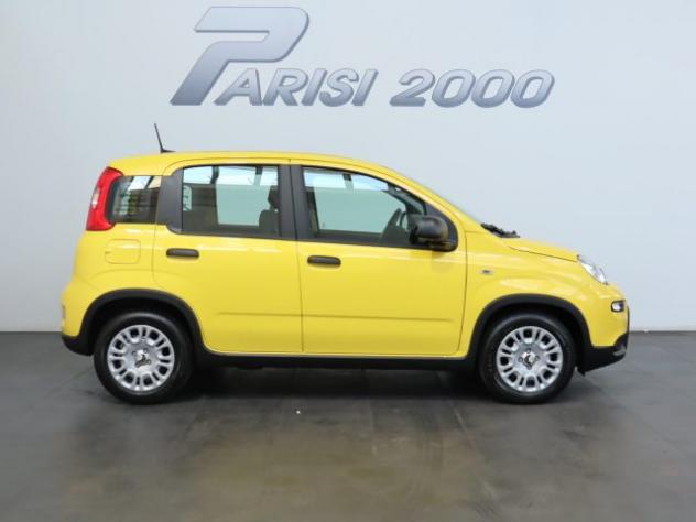 FIAT Panda 1.0 FireFly S&S Hybrid new version 2024 rif. 19560691 - Foto 6